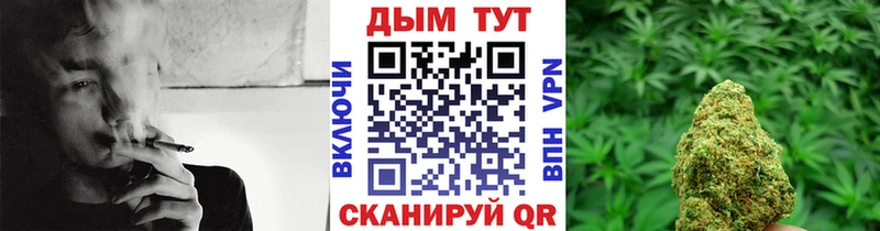 Шишки марихуана ГИДРОПОН Губкин